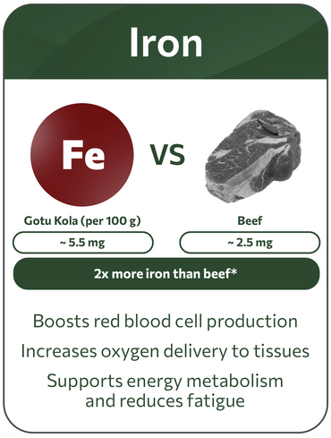 Iron benefits