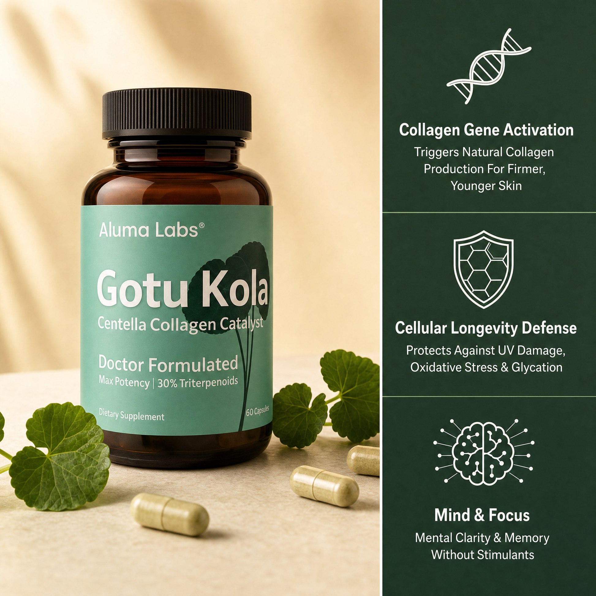 Gotu Kola - Premium Centella Collagen Catalyst Capsules (860mg)
