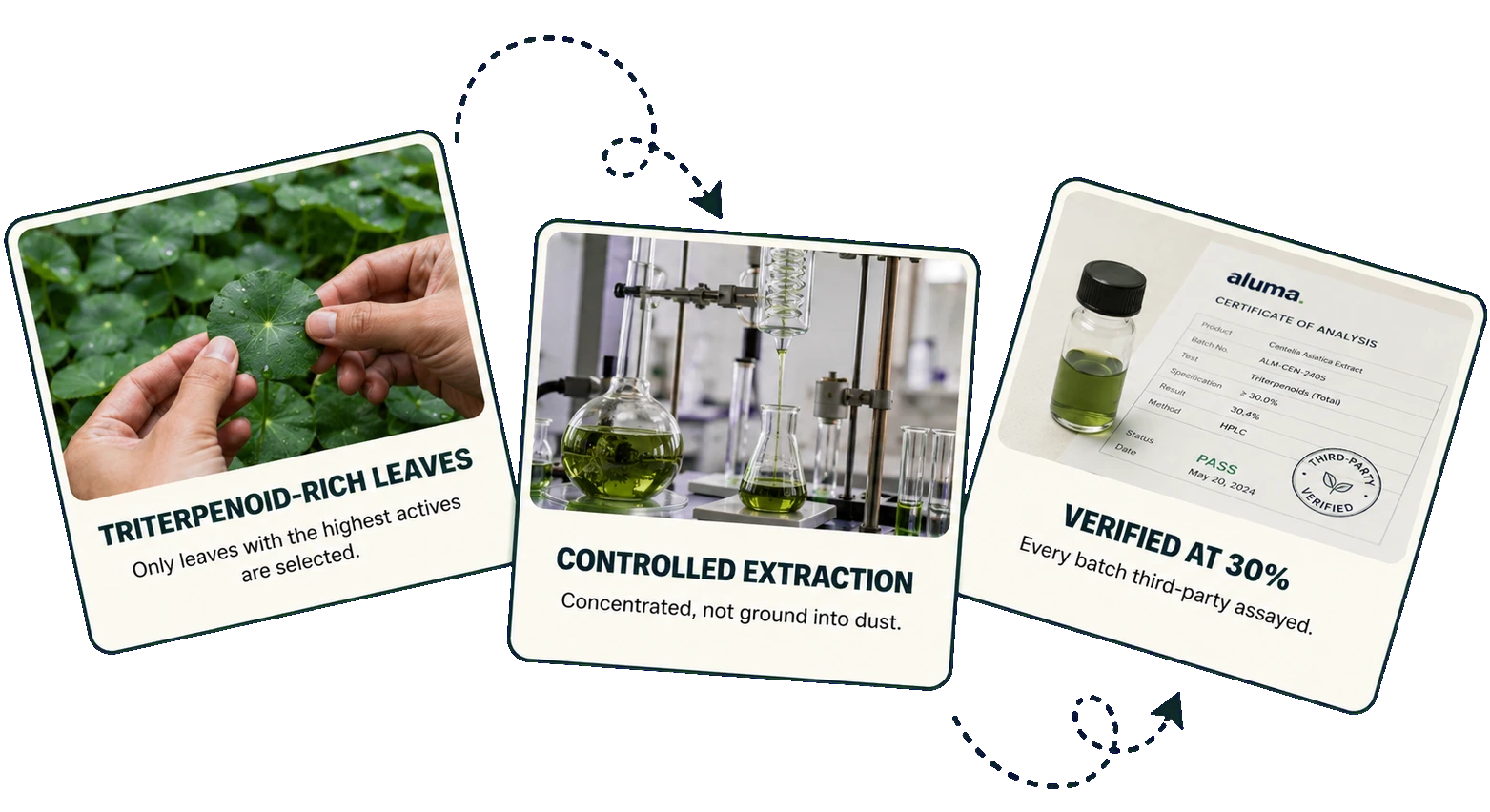 Hibiscus sourcing proof cards